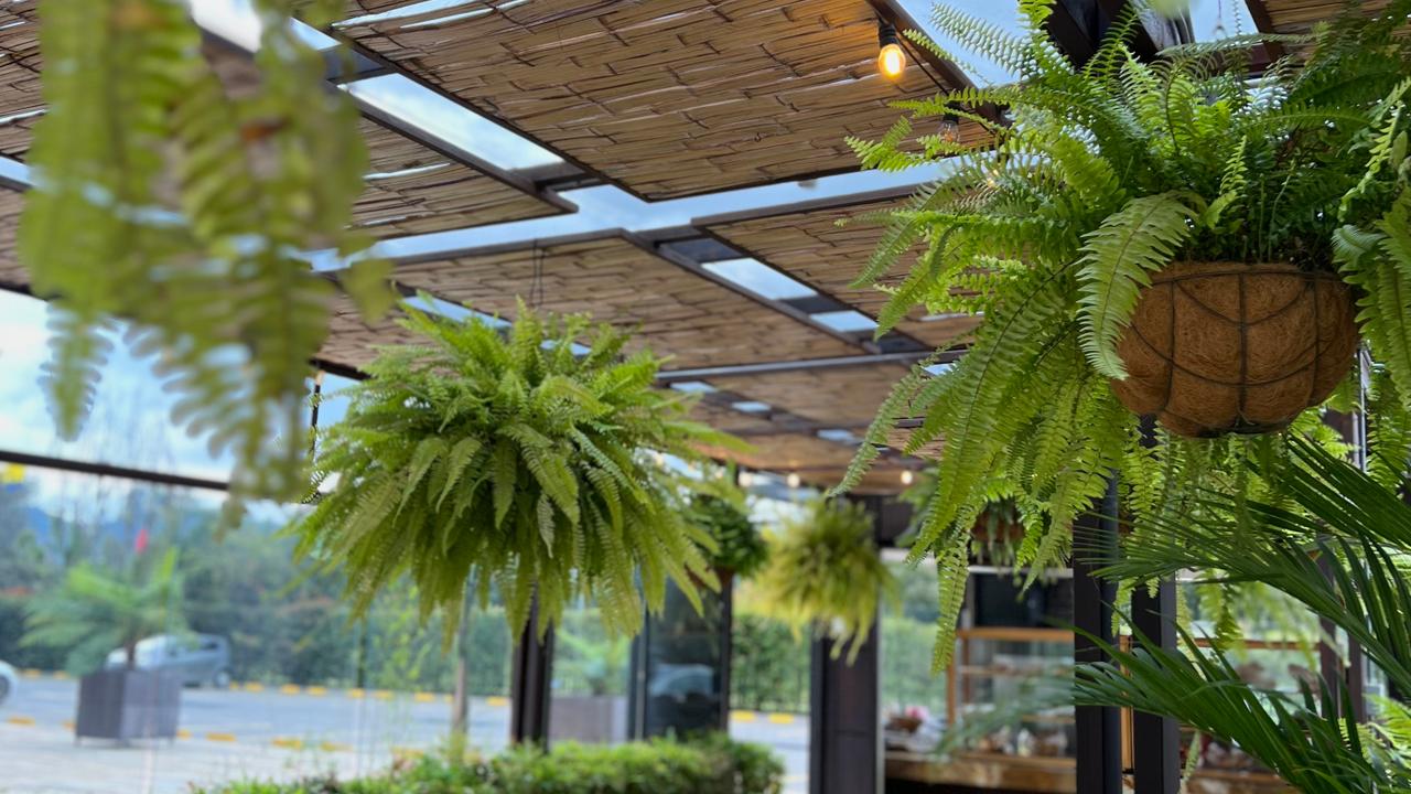 Restaurante  Hotel Sabana Park Cajicá Restaurante  Hotel Sabana Park Cajicá